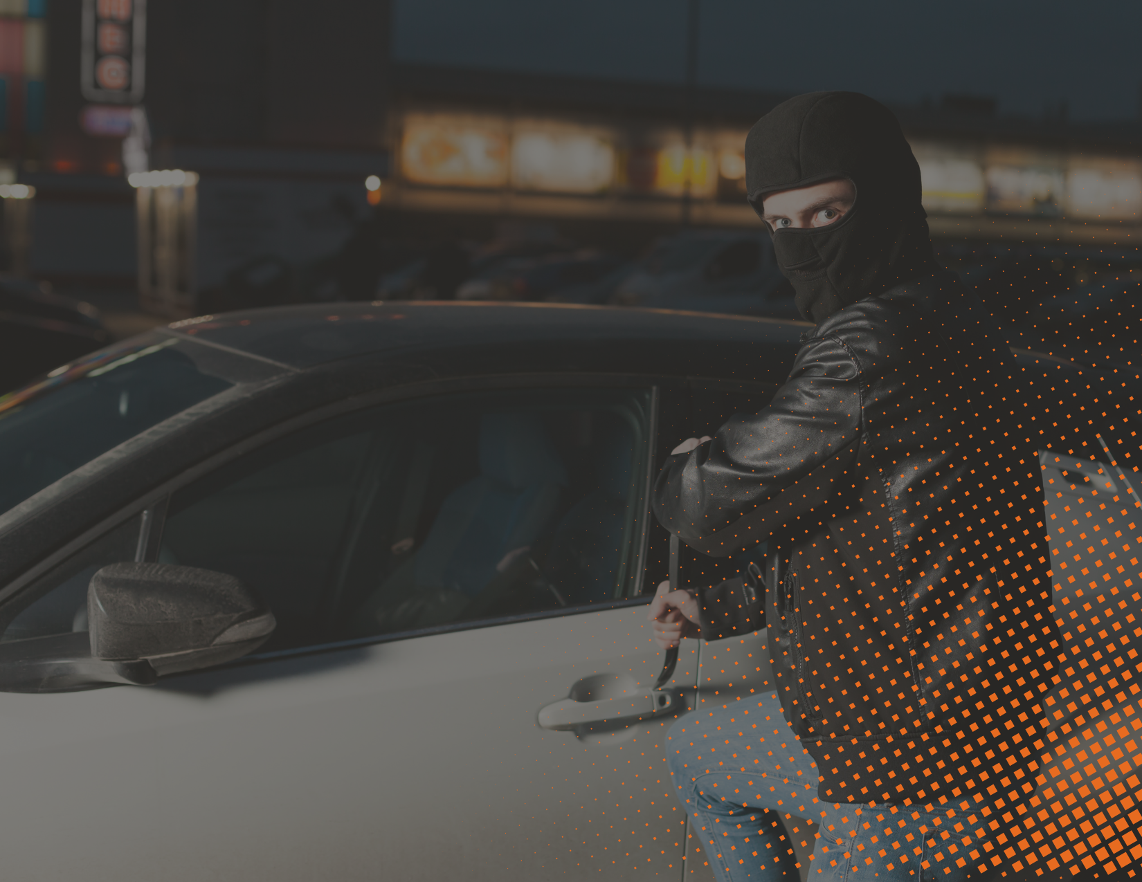 Protección contra robo 